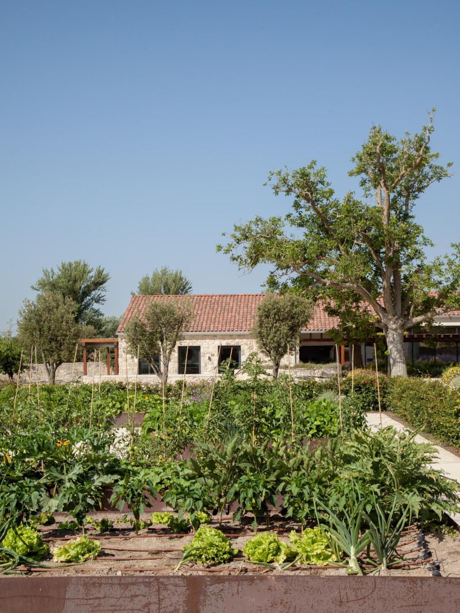 Quinta San Francisco Castrojeriz Exterior foto